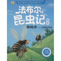 正版新书]捕蝇蜂:合格的母亲(彩绘美图版)齐遇978754955