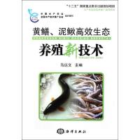 正版新书]黄鳝、泥鳅高效生态养殖新技术马达文9787502779016