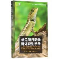 正版新书]常见爬行动物野外识别手册/好奇心书系齐硕97875689148