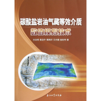 正版新书]碳酸盐岩油气藏等效介质数值模拟技术王自明9787502191