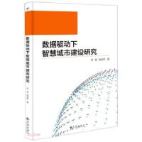 正版新书]数据驱动下智慧城市建设研究杨梅,赵丽君 著9787510888