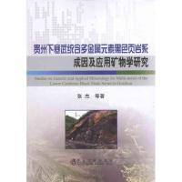 正版新书]贵州下寒武统含多金属元素黑色页岩系成因及应用矿物学