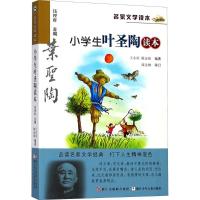 正版新书]名家文学读本?小学生叶圣陶读本王小庆9787534266607