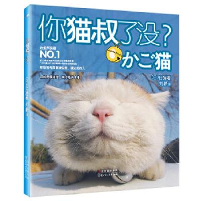 正版新书]你猫叔了没(日)白猫9787538556889