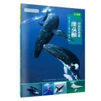 正版新书]动物目击者座头鲸[美] 丽贝卡·E.赫希9787537695640