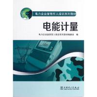 正版新书]电能计量(电力企业复转军人培训系列教材)王金笙978751