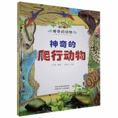 正版新书]的动物:的爬行动物(儿童精装绘本)王志勇9787559521132