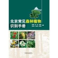 正版新书]北京常见森林植物识别手册张钢民9787503861925