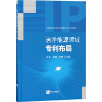 正版新书]洁净能源领域专利布局大连化学物理研究所、杜伟、张娴