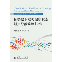 正版新书]稀数据下结构健康状态超声导波监测技术洪晓斌97871181