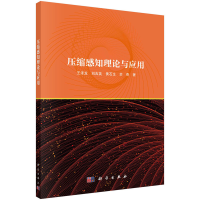 正版新书]压缩感知理论与应用王泽龙,刘吉英,黄石生,余奇9787