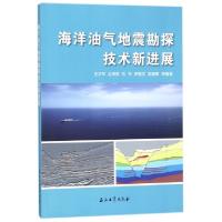 正版新书]海洋油气地震勘探技术新进展王学军//全海燕//刘军//罗