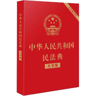 正版新书]中华人民共和国民法典 含草案说明 大字版编者:中国法