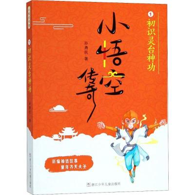 正版新书]小悟空传奇?初识灵台神功孙勇民9787559706614