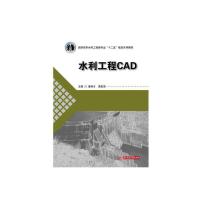 正版新书]水利工程CAD(晏孝才)晏孝才9787560990354