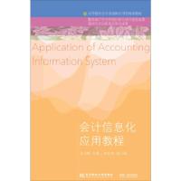 正版新书]二手正版会计信息化应用教程 袁凤林 东北财经大学出版