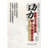 正版新书]功力世界500强企业的人力资源实践金剑峰9787545400724