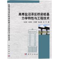 正版新书]高寒盐沼泽区桥梁桩基力学特性与工程技术冯忠居,姚贤