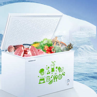 容声(Ronshen)205L小冰柜家用冷柜小型商用大容量保鲜冷冻两用减霜囤货冰箱