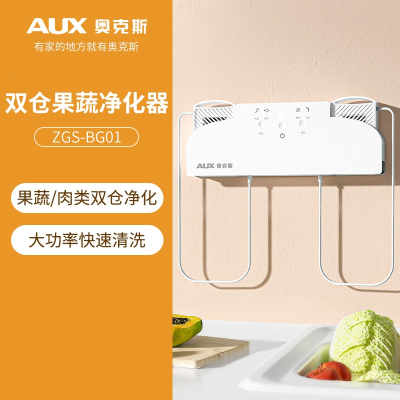 奥克斯(AUX)果蔬清洗机双仓家用食材肉类净化器厨房洗菜机