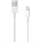 【二手99新】Apple/苹果原装充电线 Lightning数据线 适用于iPhone5s/6/6s/7/8p