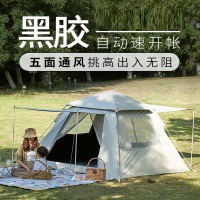 闪电客帐篷户外露营便携式黑胶自动公园野餐天幕一体装备