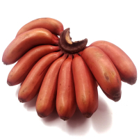 红皮香蕉 5斤 美人蕉 新鲜水果 福建土楼特产 非芭蕉小米蕉banana 土楼