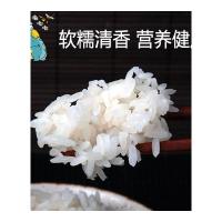 [2019年新米]五常长粒香大米10斤五常东北五常稻花香米长粒大米
