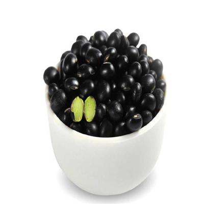 绿芯黑豆 绿心黑小豆 农家东北黑豆五谷杂粮 [绿芯黑豆 5斤装 ]