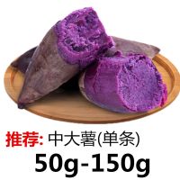 [香甜粉糯]沙地紫薯新鲜 番薯板栗红薯地瓜蜜薯蔬菜 [5斤装]优选中大薯