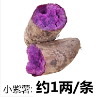 [香甜粉糯]沙地紫薯新鲜 番薯板栗红薯地瓜蜜薯蔬菜 [5斤装]迷你小紫薯