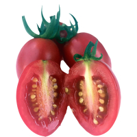 圣女果小西红柿新鲜蔬菜樱桃小番茄非千禧小柿子孕妇水果 5斤大果