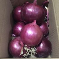 新鲜紫皮大洋葱头农家自种圆葱洋葱新鲜蔬菜 5斤精选紫皮洋葱