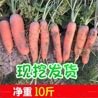 胡萝卜10斤 新鲜蔬菜水果 脆甜红心萝卜批一箱现挖发货 整箱