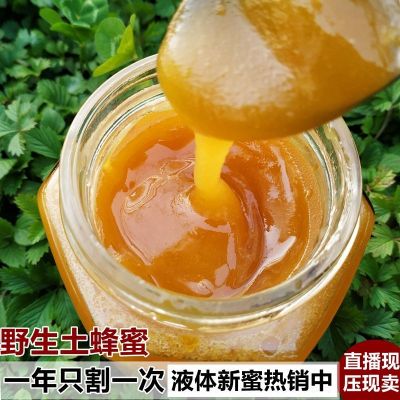 蜂巢蜜嚼着吃 老巢蜜秦岭农家自产土蜂蜜蜂窝蜜瓶装 土蜂蜜一年割一次带花香