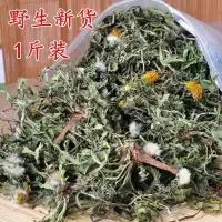 沂蒙山蒲公英蒲公英茶整棵带根带花婆婆丁纯500g