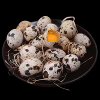 新鲜鹌鹑蛋100枚鹌鹑蛋生蛋农家杂粮喂养鹑鸟小鸟蛋辅食整箱