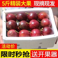 [送开果器]广西百香果精选大果5斤装3斤2斤1斤新鲜水果酸甜多汁