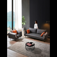 意式极简皮沙发阿斯卡利小户型北欧风现代简约公寓轻奢客厅三人科技布沙发