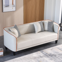 布艺沙发阿斯卡利(ASCARI)客厅简约现代小户型科技布懒人卧室轻奢简易单双人小沙发