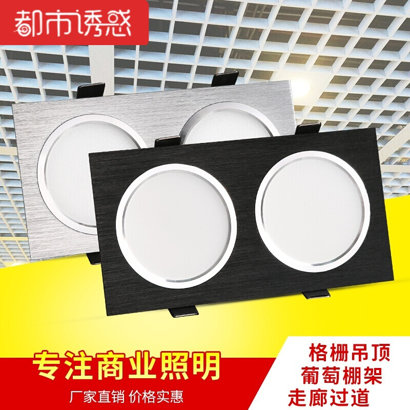 双头筒灯led格栅吊顶灯长方形葡萄架射灯嵌入式天花灯