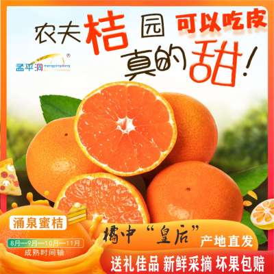 正宗 涌泉蜜桔 2.5-3斤精选大果 现摘现发 精品装 皮薄无核无渣蜜橘 新鲜应季孕妇水果 送礼佳品 产地直达