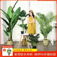 阿斯卡利仿真绿植假植物旅人蕉仿生绿植盆栽大型室内装饰摆件假树仿真树