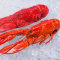 大龙虾 加拿大野生波龙 熟冻波士顿龙虾 350-400g/只，1只也顺丰包邮，一手货源