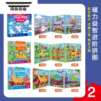 拓斯帝诺磁力拼图游戏儿童进阶宝宝幼儿园2-6岁男孩女孩益智玩具7 2阶组合[全3册][2-4岁]