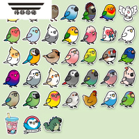 拓斯帝诺鹦鹉可爱卡通动物防水贴纸手机壳卡通行李箱鸟类小鸟旅行箱