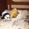 三只小熊毛绒玩具抱枕公仔长条枕头可爱睡觉娃娃女生超软
