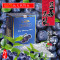 超越蓝莓大兴安岭纯正野生蓝莓原浆2L 鲜果鲜榨 无水分添加 不含添加剂 没有防腐剂 产地直发