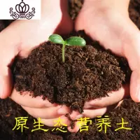 封后多肉植物专用土养花种植土通用型园艺用品花盆家用 (5500克营养土) 大花盆容器