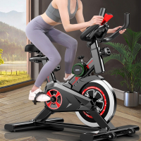 动感单车家用健身车室内室内磁控款健身器材闪电客脚踏运动 